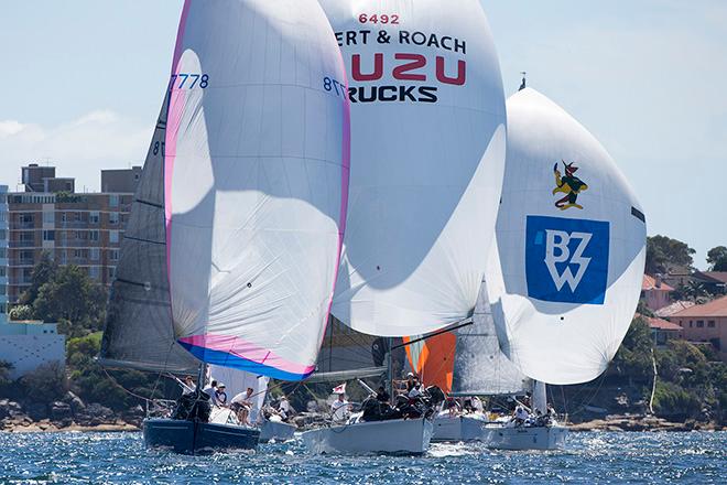 PHS fleets always add colour to the Harbour ©  Andrea Francolini Photography http://www.afrancolini.com/